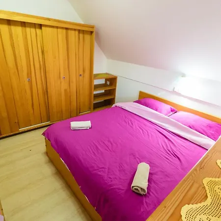 公寓 Pocitniski Apartmaji - Sunny In